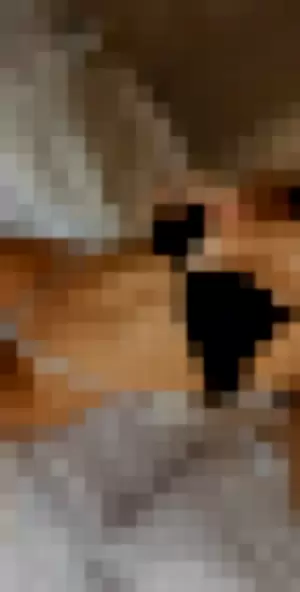 tylerloren profile photo