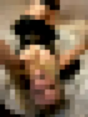 killjoywintersfree profile photo