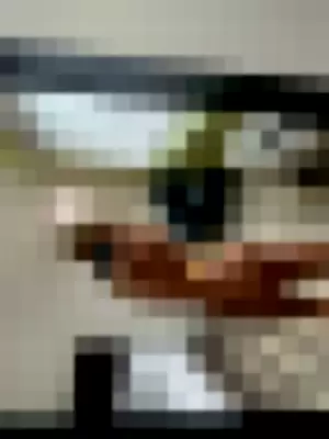 taylorr19 profile photo