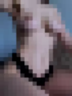 weedcommie profile photo