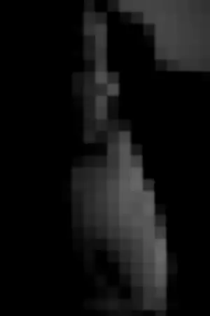 fitnessIri profile photo