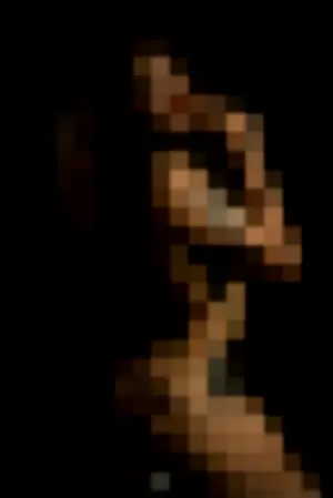 Priscilalops profile photo