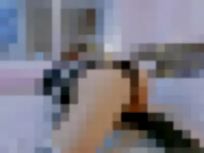 Darkrabbithouse profile photo