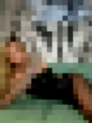 SpookyUnagi profile photo