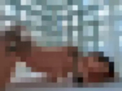 Senedy profile photo