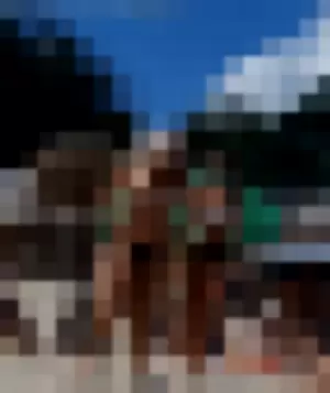 Amateur Voyeur profile photo