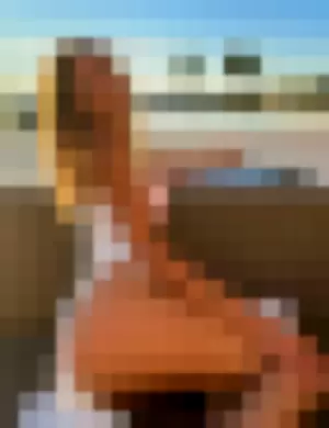 Anyatrades profile photo