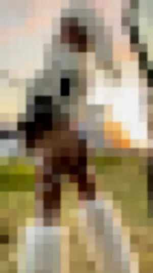 jovanajoestar profile photo