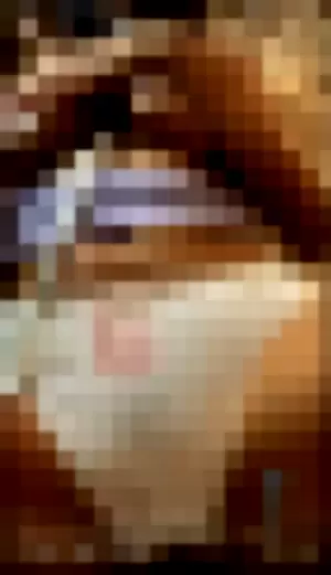 liyaberry profile photo