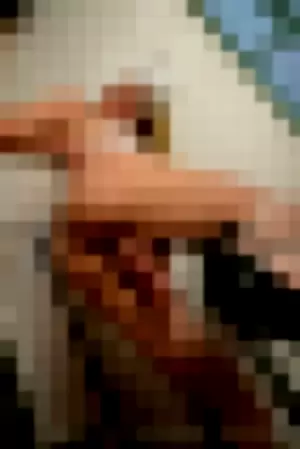 izabellifrazaoo profile photo