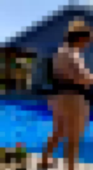 Ursula profile photo