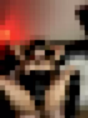bsyk9294 profile photo