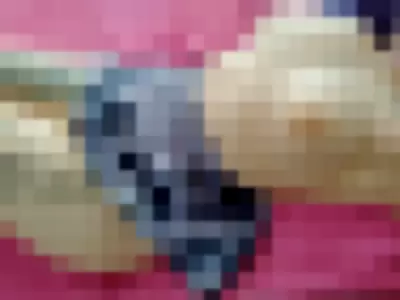 Megaptera profile photo