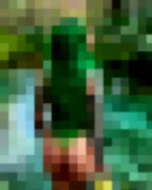 WWE Shotzi profile photo