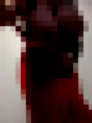 arianestamour profile photo