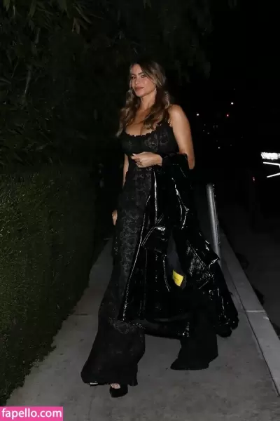 Sofia Vergara / sofiavergara / vergarasofia Nude Onlyfans Photo Gallery photo 1234