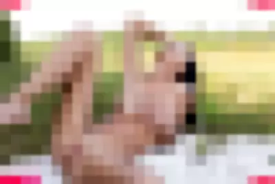 Simon_Kitty Nude Onlyfans Photo Gallery photo 424