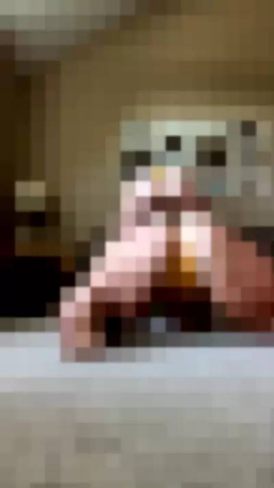 graciebon1 - UHFEkTbrXx