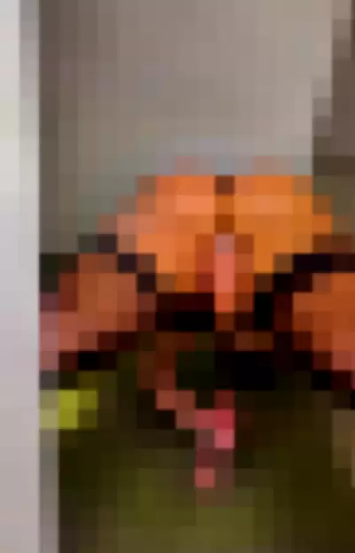maria_dmar / mariadmsanchez - 5JM6zG8D0J video thumbnail