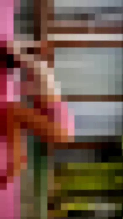 nesty69 - oLWBCxuBaz