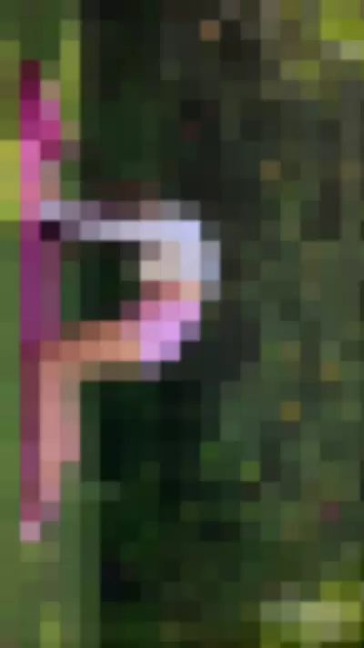 nesty69 - YAfHI6PzHJ