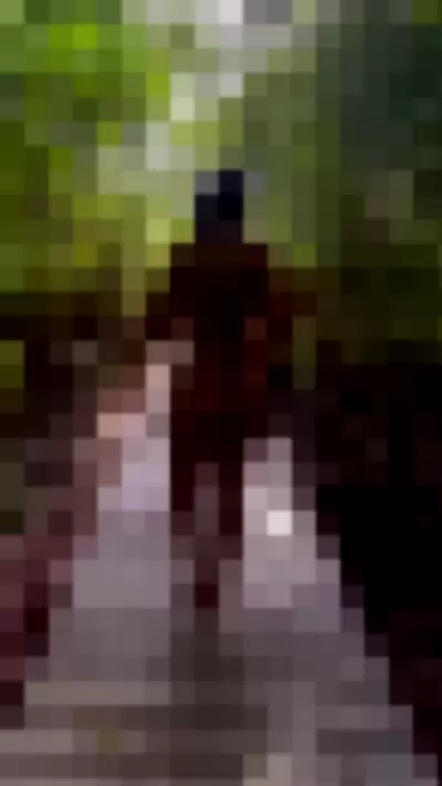 Cleocakes / Jessijax Video