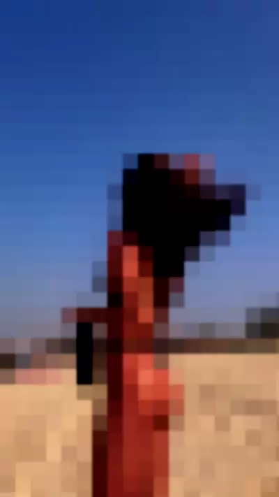 Giullia Buscacio / giubuscacio Video video thumbnail