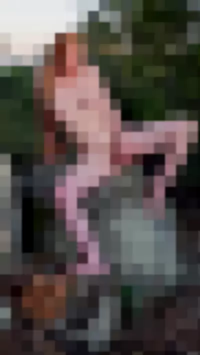 charlottedoe / thatcharlottedoe - trTGDwJLsh video thumbnail