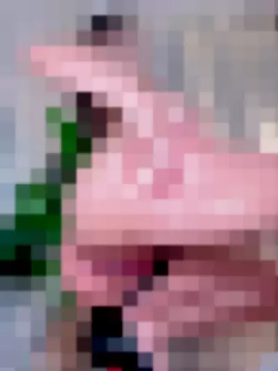 Npxvip Video video thumbnail