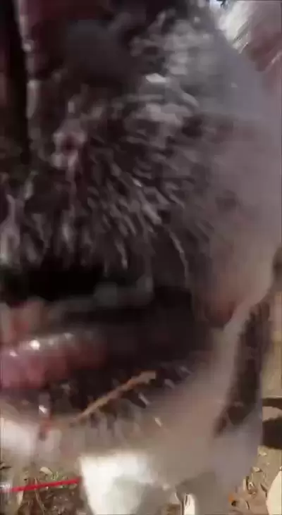 katelynernst Video