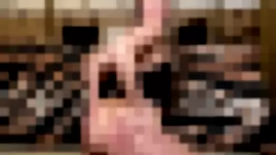 Sherri Chanel - MflMbV0p5f video thumbnail