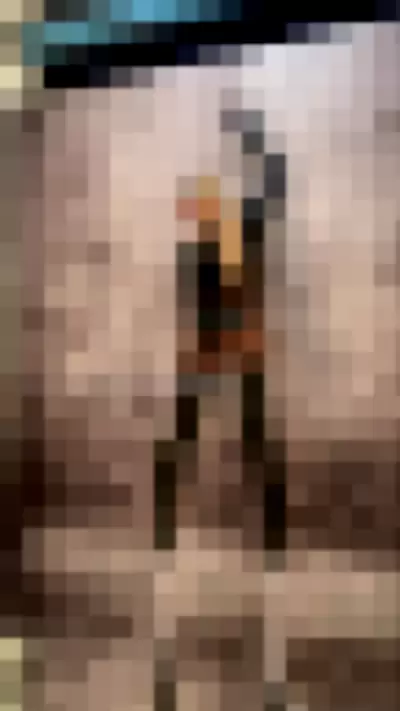 Alizee - E127OXHtcf