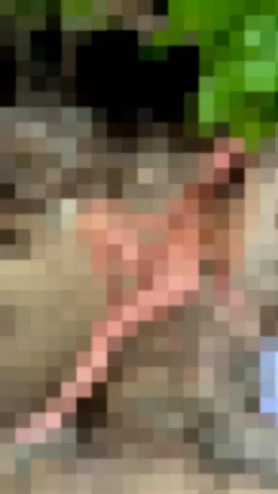 Shanti_b Video video thumbnail