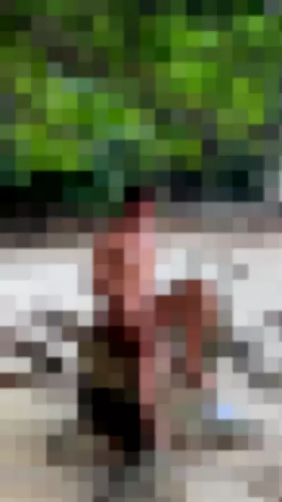 Shanti_b - 3oJoQh7IFi video thumbnail