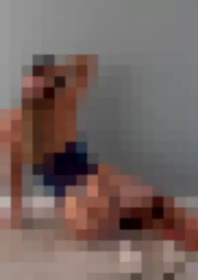 Leila Grey / Miss_LeilaGrey / dear.leyla - yzdAm7PTm7 video thumbnail