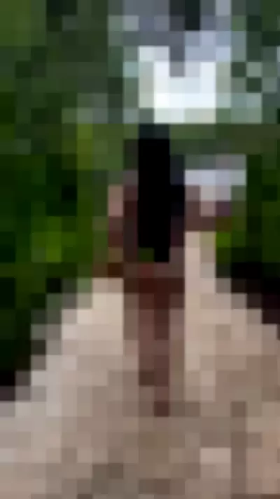 Yanet Gutierrez - vanCNbKssG video thumbnail