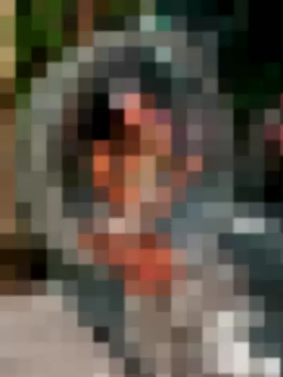 Leila Grey Video video thumbnail