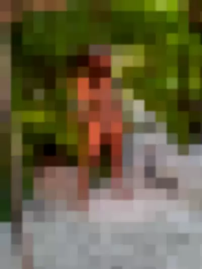Leila Grey Video video thumbnail