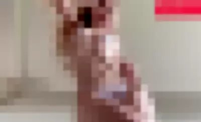 belle.delphine / belledelphine - 1joDBTgWE8 video thumbnail