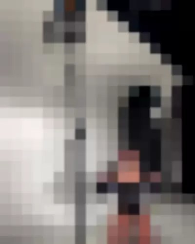 upsahl - EJMkFI9Klb video thumbnail