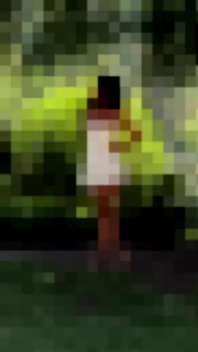 Cindy Kimberly / wolfiecindy - fdfeisusLO video thumbnail