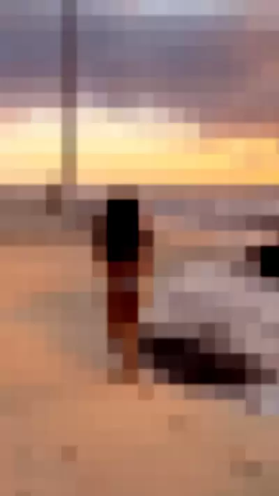 Nicole Scherzinger / NicoleScherzy / nicole_scherzinger / nicolescherzinger Video video thumbnail