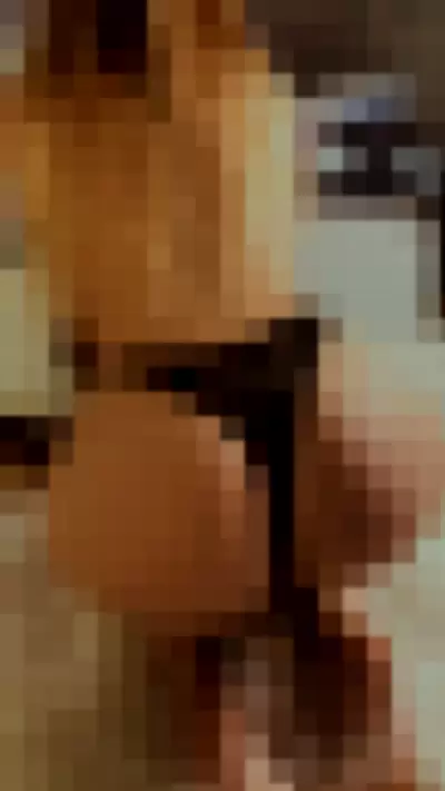 Eva Menta / evamenta Video video thumbnail