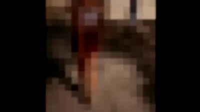 Bambi / bambiistired / bambilegit Video video thumbnail