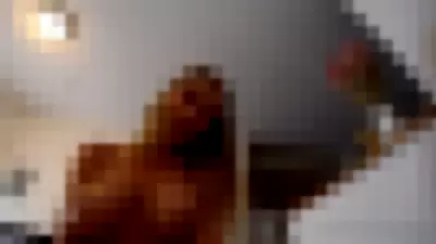 Bambi / bambiistired / bambilegit Video video thumbnail