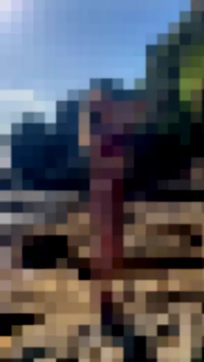 Willow Hand Video video thumbnail