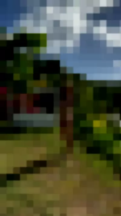 Willow Hand Video video thumbnail