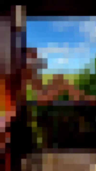 Willow Hand Video video thumbnail