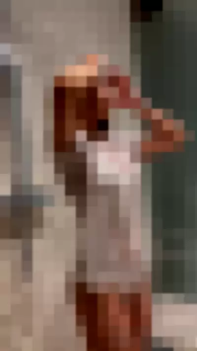 aishahsofey Video video thumbnail