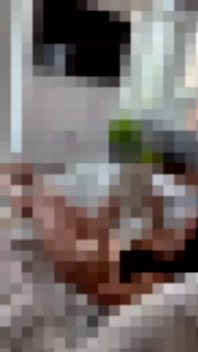 aishahsofey Video video thumbnail